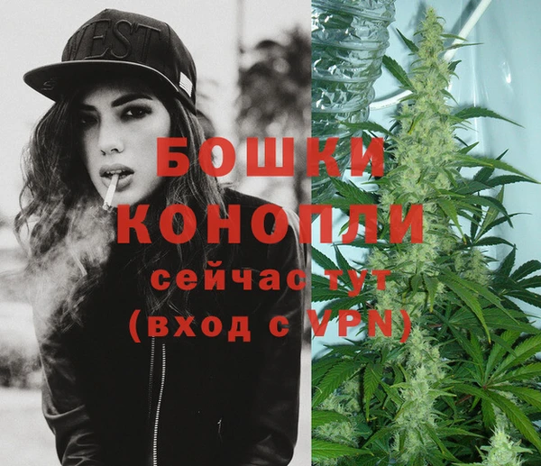 молекула духа Аркадак