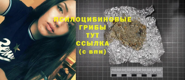 прущая мука Арсеньев
