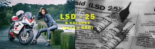 кокс Алзамай