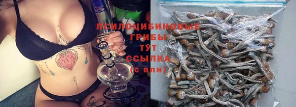 молекула духа Аркадак