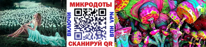 где найти   Спасск-Дальний  Псилоцибиновые грибы ЛСД 